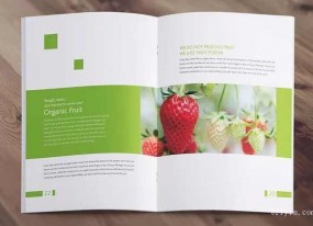 產品畫冊印刷廠家哪個比較好？該如何選擇？