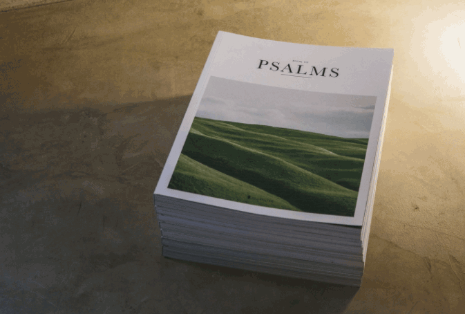 高檔畫(huà)冊(cè) 第2張 高檔畫(huà)冊(cè) 第2張