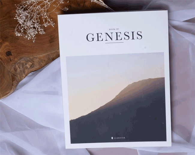 高檔畫(huà)冊(cè) 第4張 高檔畫(huà)冊(cè) 第4張