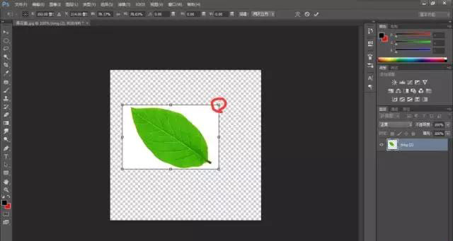 photoshop怎樣調整圖片尺寸和大小？
